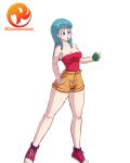 big_breasts breasts bulma cleavage dragon_ball reit