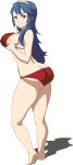  alluring ass big_ass big_breasts bikini breast_hold breasts fire_emblem fire_emblem:_kakusei fire_emblem_awakening lucina rebera swimsuit 