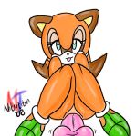  marine_the_raccoon modeseven nitrotitan sega sonic_(series) sonic_the_hedgehog_(series) 