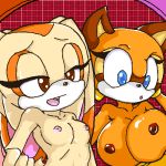  cream_the_rabbit female_only marine_the_raccoon sega sonic_*(series) sonic_the_hedgehog_(series) sonicdash 