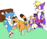  marine_the_raccoon sega sonic_(series) sonic_riders sonic_team wave_the_swallow 