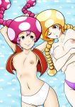 big_breasts breasts nipples pixelboy super_mario_bros. toadette topless