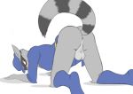sly cooper from sly cooper (series)