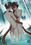  2016 anthro arno_(peritian) ass black_hair blue_eyes brown_fur brown_hair cat celio_(peritian) duo embrace eye_contact feline fumiko fur furry grey_fur hair hand_on_butt hand_on_shoulder male male/male mammal multicolored_fur nude open_mouth original original_character outside partially_submerged rear_view siamese sibling smile smirk tan_fur twins water waterfall watermark wet 