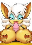 rouge the bat from sega by cloktowur