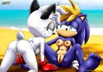 2girls archie_comics barby_koala bbmbbf bernadette_the_hedgehog furry mobius_unleashed multiple_girls palcomix sega sonic_(series) sonic_the_hedgehog_(series) tagme