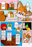 knuckles the echidna from sega by michiyoshi