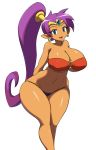 1girl arms_behind_back big_breasts bikini blue_eyes breasts curvy cute hair hands_behind_back jadf long_hair looking_at_viewer png pointed_ears purple_hair shantae shantae_(character) smile transparent_background