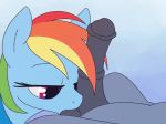 friendship_is_magic furry gif mane my_little_pony penis rainbow_dash sucking