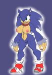 1girl 2016 anthro areola big_breasts breasts collar crossgender erect_nipples furry genderswap high_res huge_breasts nipples nude pussy sega slashysmiley sonic_*(series) sonic_the_hedgehog sonic_the_hedgehog_(series) sonic_the_werehog soulteam werehog