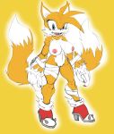 1girl 2016 anthro areola big_breasts breasts canine erect_nipples fox furry genderswap high_res huge_breasts mammal miles_"tails"_prower millie_tailsko nipples nude pussy sega slashysmiley sonic_*(series) sonic_the_hedgehog_(series) soulteam werefox