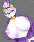 1girl 1girl anthro areola big_breasts blaze_the_cat breasts clothing eyelashes feline furry mammal nipples open_mouth quin-nsfw sega yellow_eyes zipper