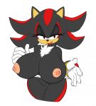 1girl 1girl anthro areola big_breasts breasts crossgender erect_nipples flashing furry hedgehog high_res huge_breasts mammal nipples pussy ravnic sega shadow_the_hedgehog soulteam