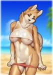  1girl 1girl 2016 absurd_res amber_eyes anthro beach breasts canine clothing dog furry hardyboy high_res looking_at_viewer mammal nipples panties pussy sand sea seaside seductive shirt smile underwear water 