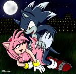 amy_rose riku sega sonic sonic_team sonic_the_hedgehog sonic_the_werehog sonic_unleashed