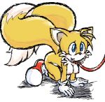  genderswap miles_&quot;tails&quot;_prower millie_tailsko multiple_tails mutabouru rule_63 sega sonic_(series) sonic_team tail 