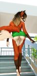 1girl 1girl 2016 anthro ass bare_back bare_shoulders bedroom_eyes black_nose blonde_hair blue_eyes brown_body brown_fur brown_hair canine clothed clothing detailed_background digital_media_(artwork) dress fox full-length_portrait fur furry gloves_(marking) gradient_hair green_bottomwear green_topwear hair half-closed_eyes high_res humanoid_hands jessy_(jl2154) long_hair looking_at_viewer looking_back low-angle_view lucidsuicide mammal markings multicolored_body multicolored_fur multicolored_hair multicolored_tail no_underwear orange_body orange_fur orange_tail portrait pussy rear_view seductive short_dress skimpy slim stairs standing upskirt walking white_body white_fur white_tail