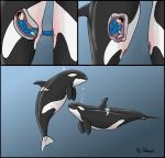  1girl animal cervix cetacean dolorcin feral full_body human internal interspecies male marine orca pussy size_difference unbirthing zoo 