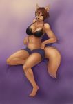 1girl 1girl 5_fingers 5_toes ajna anthro bra brown_hair canine clothed clothing dog eyelashes fior furry green_eyes hair mammal midriff navel purple_background simple_background sitting smile toes underwear wide_hips