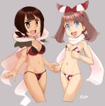 haruka_(pokemon) haruka_(pokemon)_(remake) may pokemon pokemon_oras zinnia