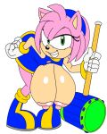 amy rose fan art