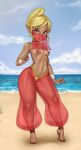  big_breasts breasts cosplay female legoman lm_(legoman) nipples pussy see-through shantae shantae_(character) shunori solo tetra the_legend_of_zelda the_wind_waker topless veil 