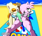  1girl amy_rose anthro ass beach big_breasts bikini bikini_pull breasts cleavage clothed clothing cream_the_rabbit duo furry hedgehog kneel lagomorph looking_back lying male mammal on_front one_eye_closed rabbit rear_view sand sandunky seaside sega smile sonic_the_hedgehog swimsuit teeth unimpressed water wide_hips 