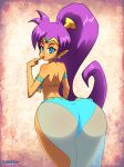 ass big_ass deviantart layerth see-through shantae shantae_(character)