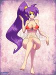 ass big_breasts breasts deviantart layerth shantae shantae_(character)