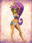 ass breasts deviantart layerth shantae shantae_(character)