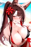 akagi (azur lane) from azur lane