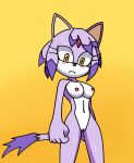 blaze the cat from sega by bannerniceman