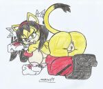 honey the cat from sega by marlon64