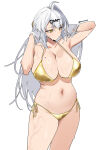yixuan (zenless zone zero) from zenless zone zero by pinepin