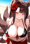 akagi (azur lane) from azur lane