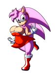 amy rose from sega by chaossabre