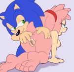 1girl 2016 amy_rose anal anal_fingering anthro anus breasts fingering furry male male/female nipples pussy sega sonic_(series) sonic_the_hedgehog sonic_the_hedgehog_(series) the_other_half