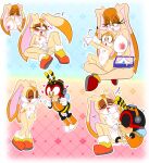 charmy bee from sega by demichan