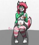  anthro canine clothing dickgirl furry hybrid intersex mammal panties raccoon rikki sweater underwear wolf xc404 