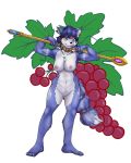  1girl 2016 abs anthro athletic blue_fur blue_hair breasts canine domino_(artist) ear_piercing food fox fruit fur furry grapes hair jewelry krystal looking_at_viewer mammal markings navel necklace nintendo nipples nude piercing pussy smile staff star_fox tattoo tribal video_games 