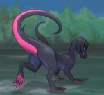  ass kodardragon pokemon pussy salazzle 