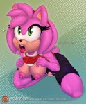 1girl 1girl 2016 amy_rose anthro areola big_breasts breasts erect_nipples furry hedgehog mammal nipples pussy scificat sega