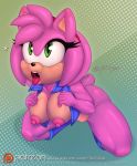 1girl 1girl 2016 amy_rose anthro areola big_breasts breasts erect_nipples furry hedgehog mammal nipples pussy scificat sega