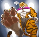 1girl anthro big_breasts big_feet blonde_hair breasts feet feline foot_focus furry hair light mammal pawpads tiger yellow_eyes zp92