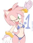 amy rose from sega by sooperman