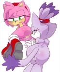 amy_rose blaze_the_cat hecticarts sonic_(series) tagme