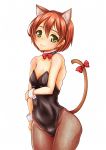 10s 1girl animal_ears ass black_thighhighs brown_hair butt_crack cat_ears cat_tail female_focus green_eyes hair_over_one_eye highres hoshizora_rin kemonomimi_mode looking_at_viewer love_live! love_live!_school_idol_project panties short_hair sketch sky-freedom smile solo tail tank_top thighhighs top-down_bottom-up underwear underwear_only