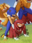 knuckles the echidna from sega by timidwithapen