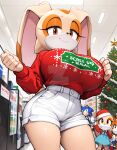 cream the rabbit from sonic the hedgehog (series)