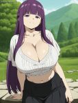 fern (sousou no frieren) from sousou no frieren